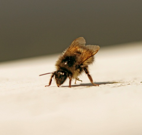resting_2_2