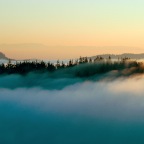 Afternoon Fog