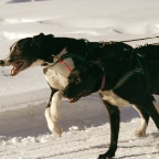 Finish Line