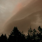 P1010667