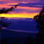 Orcas sunset