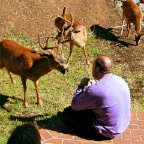 Talkative Dave