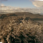 Wide Winter
