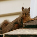 IMG_2867.JPG