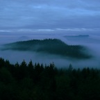 Morning Fog