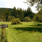 P1010001