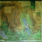 P1010004